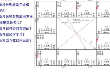 苏轼紫薇斗数
