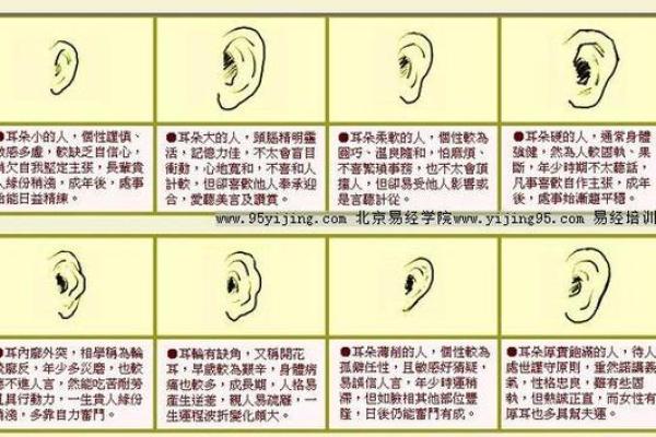 风水面相：耳朵贴脑的女人好不好