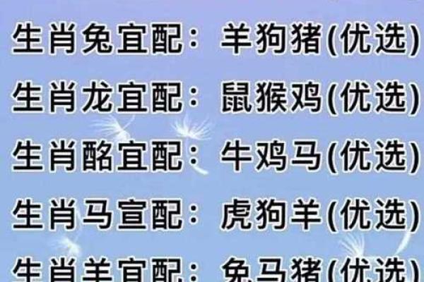 属相婚配十二生肖配对图表，属相婚配十二生肖配对图表图片？
