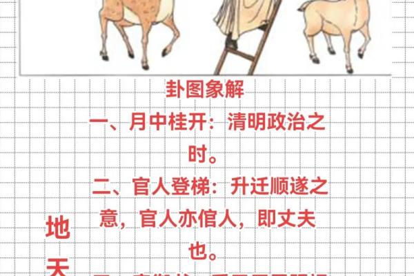 美貌男紫薇斗数