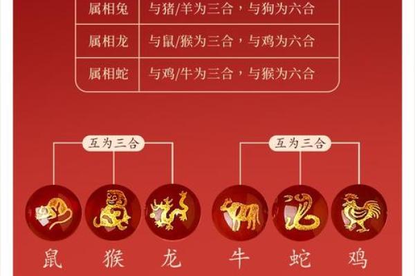 十二生肖属蛇的配对
