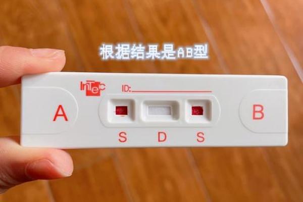 网上如何查自己的血型