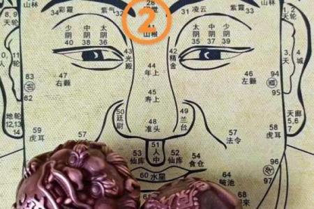 看相算命图解