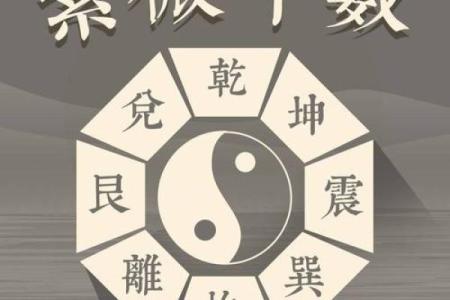 紫微财运曲线 紫微斗数测财运神巴巴？