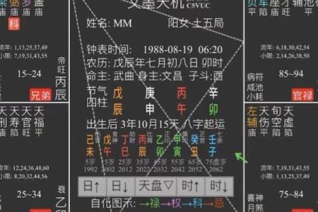 紫薇斗数加会