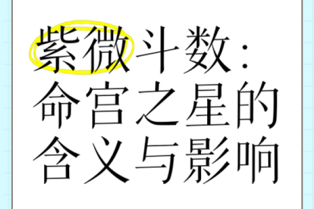 青龙紫薇斗数命宫
