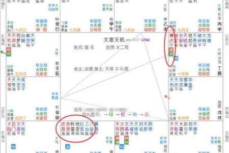 紫薇斗数中最重要的是身宫