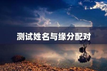 姓名配对费用查询系统 姓名配对费用查询系统官网？