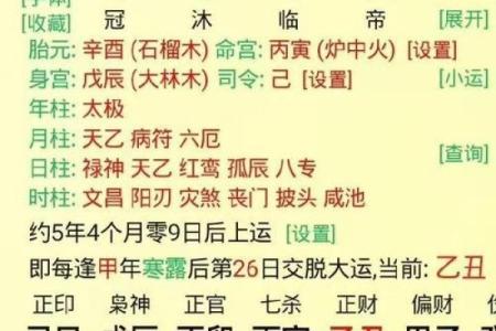 【八字起串宫详解】-从八字申命到十二宫位解析