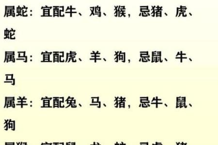 十二肖和十二生肖配对,十二生肖最佳婚配表是怎样的？