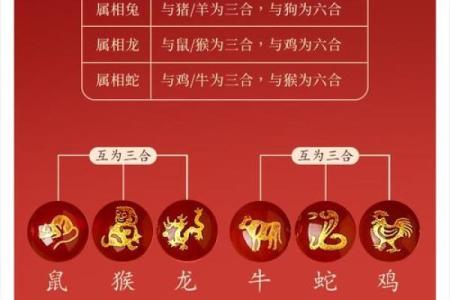 十二生肖属蛇的配对
