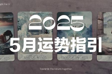 塔罗测试：看看年底做些什么能搬补明年时运？