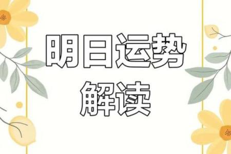 老黄历属兔犯几月  属兔人犯月都是哪几个月