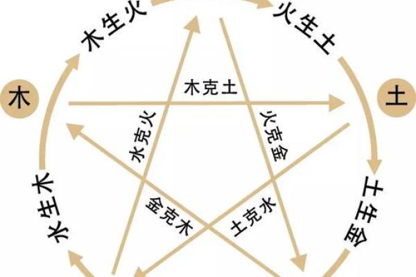 八字五行全