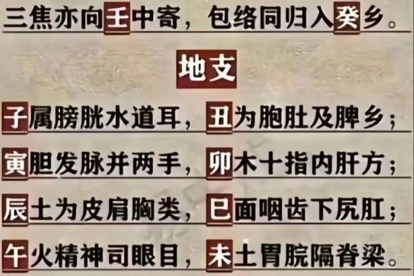 八字五行全