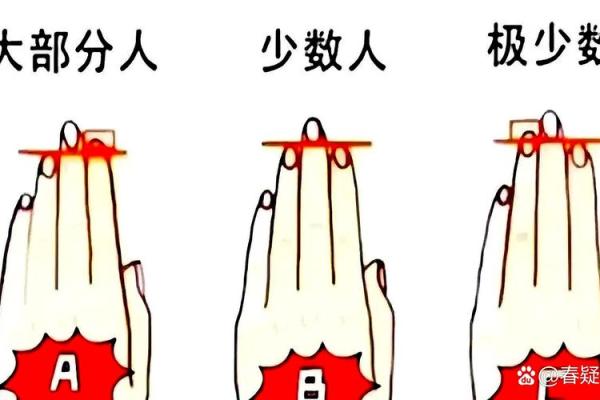 给人算命步骤图片