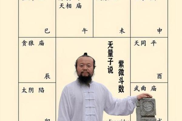 紫薇斗数男命命宫紫薇