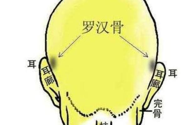 广州哪里可以摸骨算命