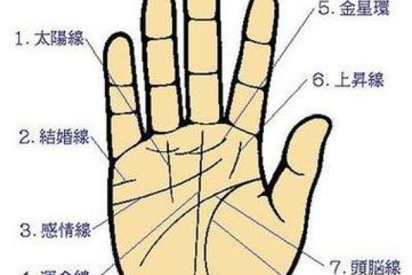 女人手纹算命图解,有福气的女人手相