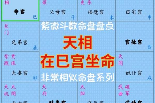 p11子女宫11-1#命理#紫微斗数#二十八宿#五星术