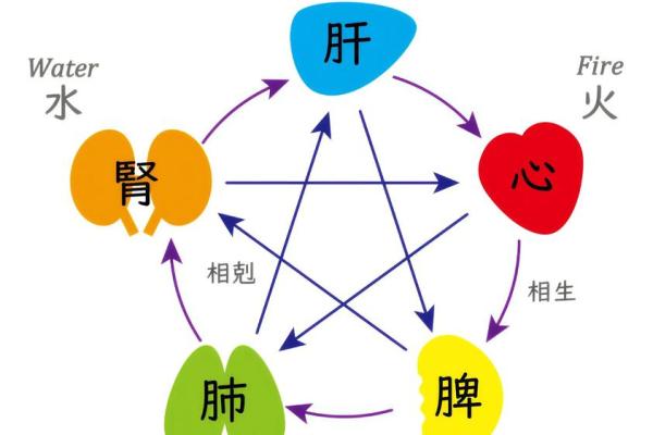 八字没水的女人的命运