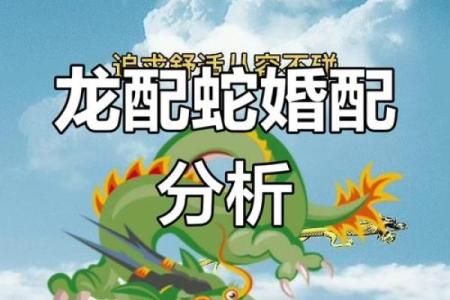 龙生肖配对姻缘 龙生肖配对排名？