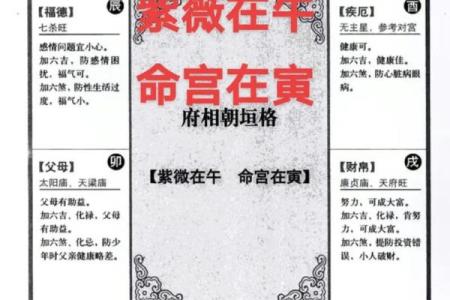紫薇斗数男命命宫紫薇