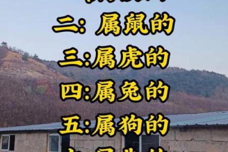 87兔和92猴的八字合不合