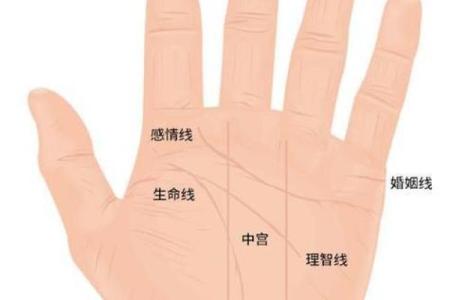 女人手纹算命图解,有福气的女人手相