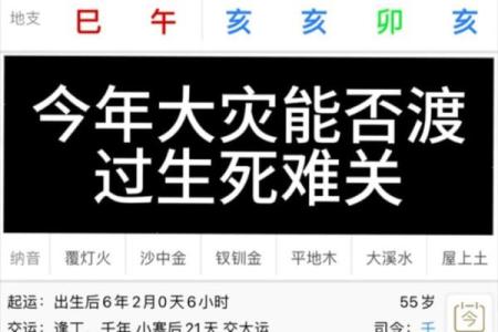 八字亥巳相冲