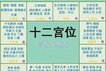 紫薇斗数三大格局