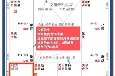 紫薇斗数算命详解