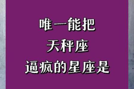 公认最适合天秤座的星座是什么
