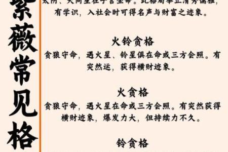 亨贞紫薇斗数
