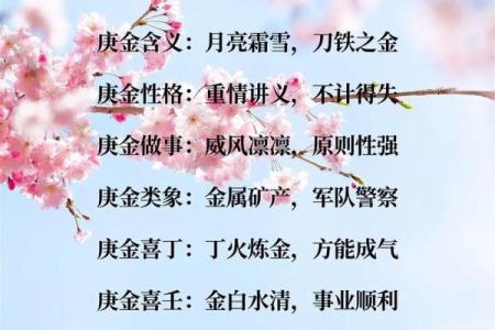 算命的术语,算命专用术语