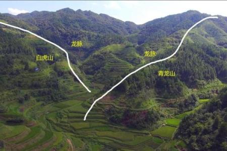 如何看祖坟地风水宝地