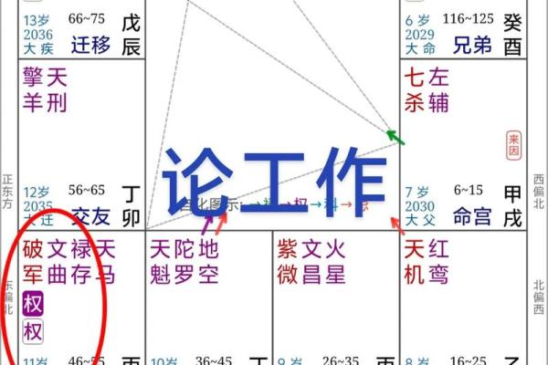 紫薇斗数的官禄宫