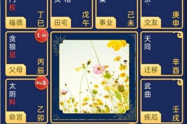 命带紫薇星是什么