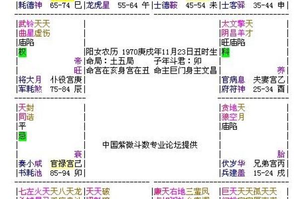 大猫紫薇斗数博客
