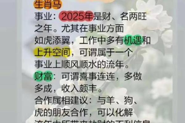 属马是哪一年出生的 属马的男孩出生吉日
