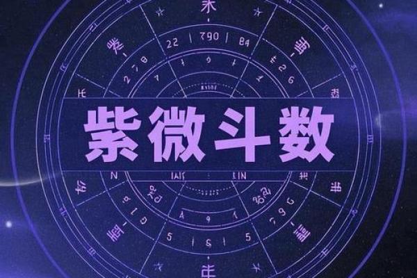 紫薇斗数性格怪异