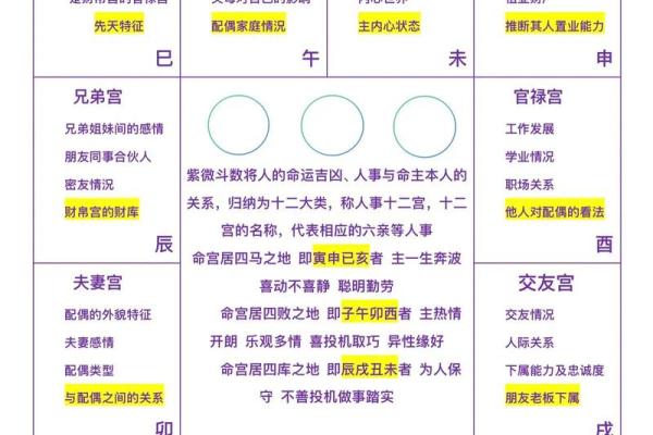紫薇斗数性格怪异