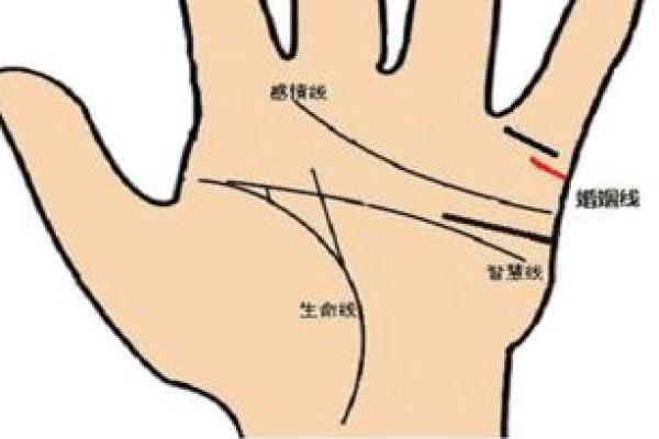 男人左手手相算命图解 婚姻线清晰无曲折象征幸福