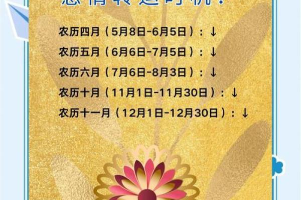 八四年属鼠2024年的吉凶方位