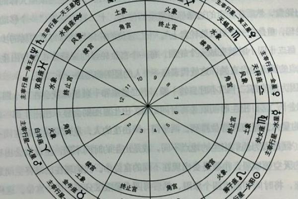 星盘十二宫代表什么 十二宫位详解