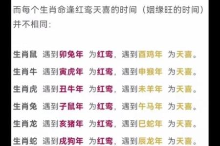 算命说今年有天喜星