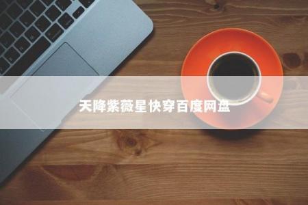 天降紫薇星快穿百度网盘