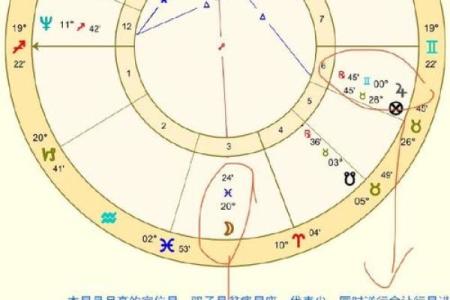 星盘十二宫代表什么 十二宫位详解