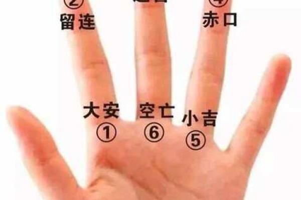 一掌经算命法