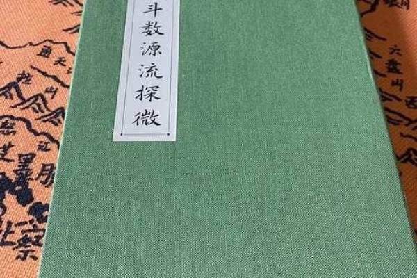 我的之一本紫薇斗数书